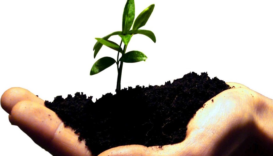 Startup và kinh doanh nhỏ khác nhau ở điểm nào?