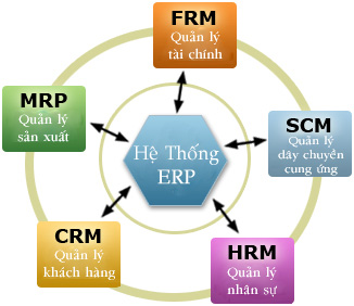 Mô hình thành phần mềm ERP hoạch định nguồn lực doanh nghiệp